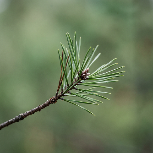 Mehrere ETFs, gleiches Risiko?