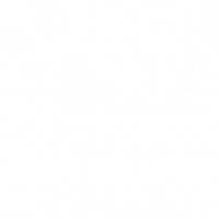 WPT Risk Check Logo